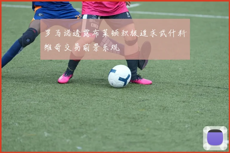 罗马诺透露布莱顿积极追求武什科维奇交易前景乐观